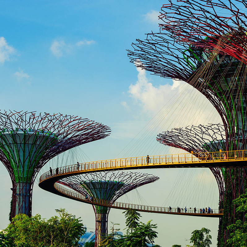Singapore View of the Supertree with people walking on the OCBC Skyway